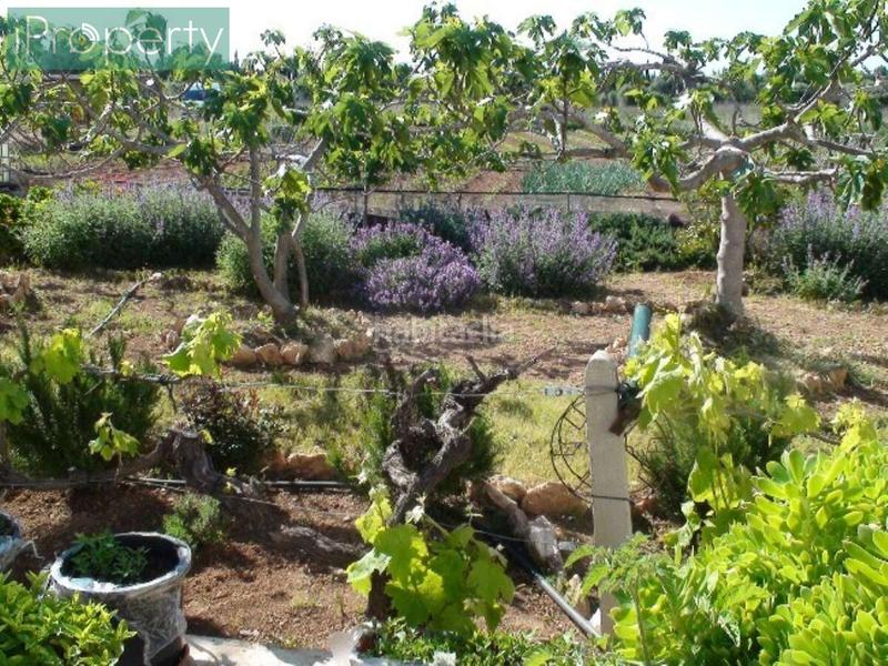 Foto b5abbbdc-4496-4d6f-bc21-a8eb610b3171. Mas avec chauffage parking piscine dans Centre Vendrell (El)