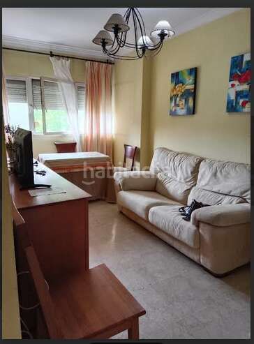 Foto a5a1c779-5e52-4d1d-9883-087d956ebae5. Pis a Tiro de Línea Sevilla