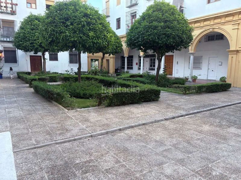 Foto e4ebebed-4458-4d1a-ba8e-b8d5eac742b9. Pis a plaza compañía 1 a Centro Jerez de la Frontera