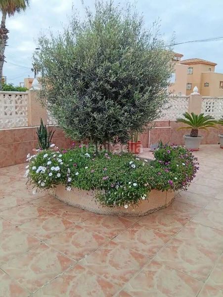 Foto 9ce35e48-0585-4944-b19e-e6211119e3e4. Pis amb aparcament piscina a Zona los Frutales Torrevieja
