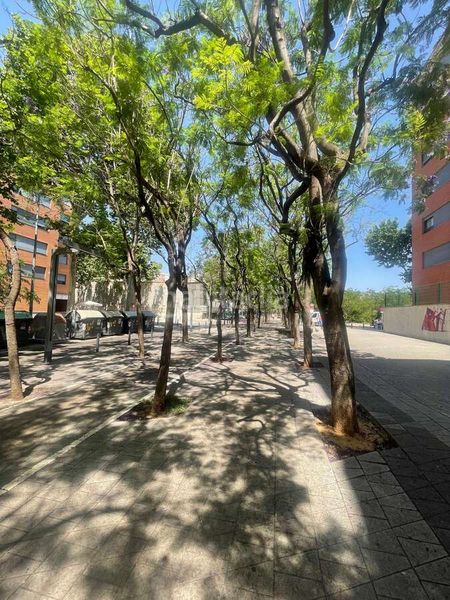 Foto ce307577-3a34-47b2-9199-26c927a9e609. Pis amb calefacció aparcament a Vilamarina Viladecans