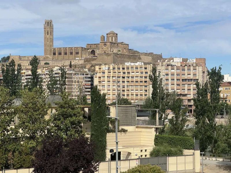 Foto 8f8c919c-997f-4b97-bb23-4a26b8f16020. Pis a Cappont Lleida