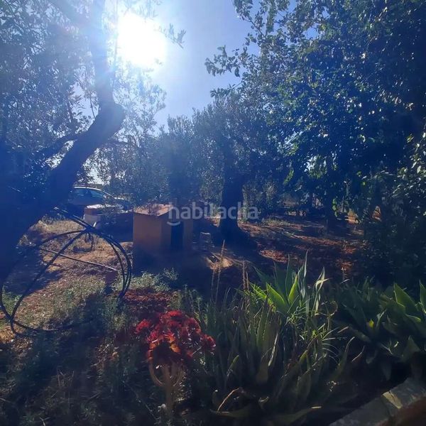 Foto 623d5234-1b18-4685-bc86-1d0bddcc01d5. Xalet amb piscina a Umbrete