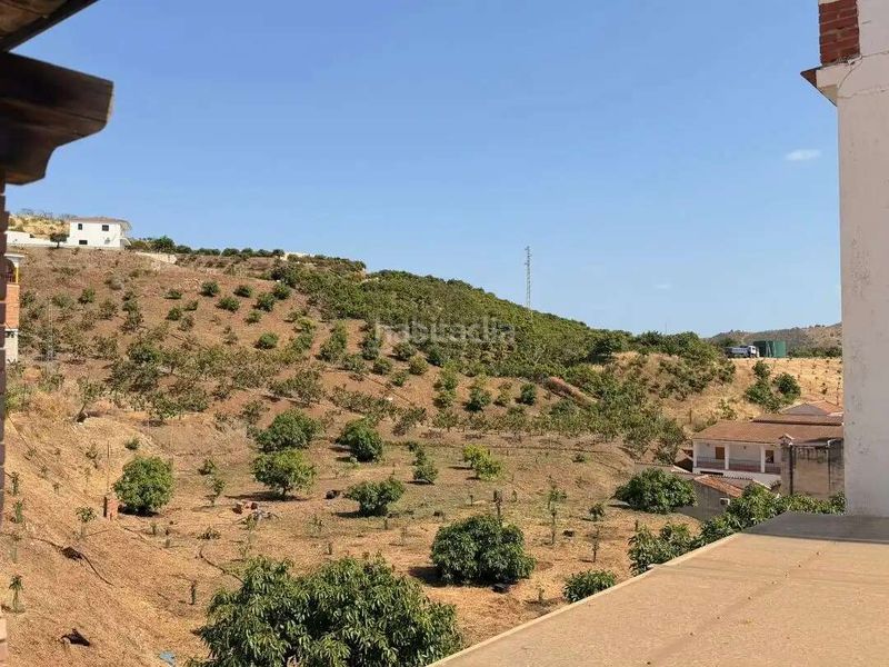 Foto 9a08ae7f-c12f-46d4-a83a-4c6c3367a05d. Pis a Benamargosa