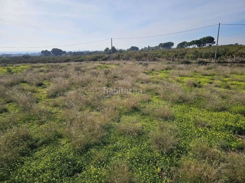 Foto e7406404-52c6-42dd-8156-b7f531023749. Xalet amb piscina a Corralet-Bonanza-Tres Rutas Náquera