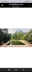 Chalet à Aldover. Finca rústica con carretera propia, luz, teléfono, pozo y pozo c