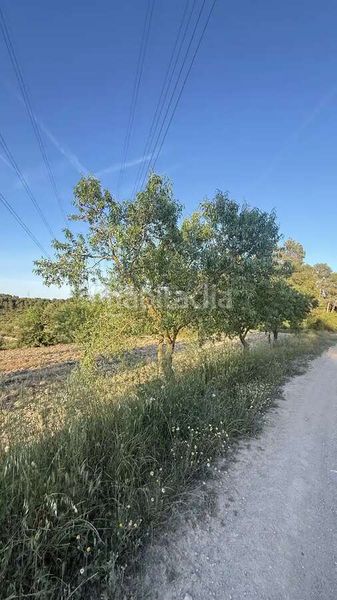 Foto 797fa19a-598d-4c0e-b749-5638c8681e30. Xalet a Fatarella (La)