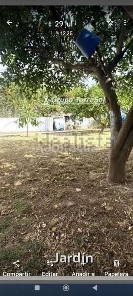 Foto 7eee9996-17fa-45a6-a315-c54d2fca181d. Xalet amb calefacció a Creixell