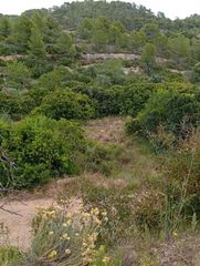 Etagenwohnung in Corbera d´Ebre