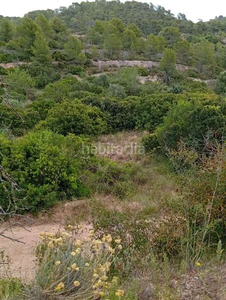 Foto 15e5070a-b0b2-4bed-bdb8-dc0b6b225719. Mas dans Corbera d´Ebre