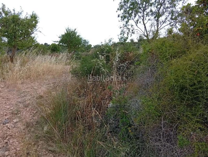 Foto 20f50124-74e4-46d4-927f-83ad932ee03a. Mas dans Corbera d´Ebre