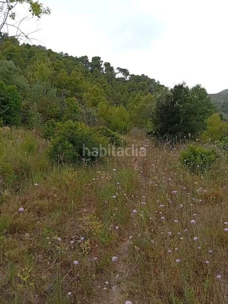 Foto 23d26567-c139-4a08-9dd6-ce2734ec2e8f. Mas dans Corbera d´Ebre