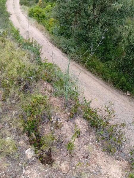 Foto 313cddcc-49e2-40a0-91e8-7899dfa4af42. Mas dans Corbera d´Ebre