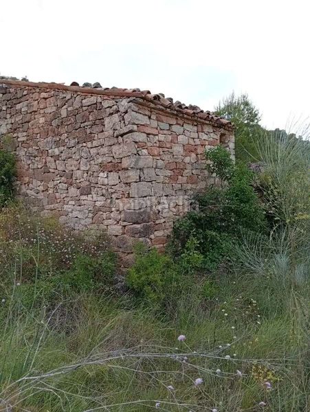 Foto 4d019689-61ee-4e3a-9a4a-9022b6e2f134. Mas dans Corbera d´Ebre