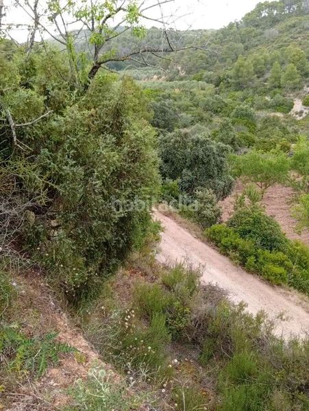Foto 4e96a6e1-c3e8-4b43-acc4-4032b11c12d1. Mas dans Corbera d´Ebre