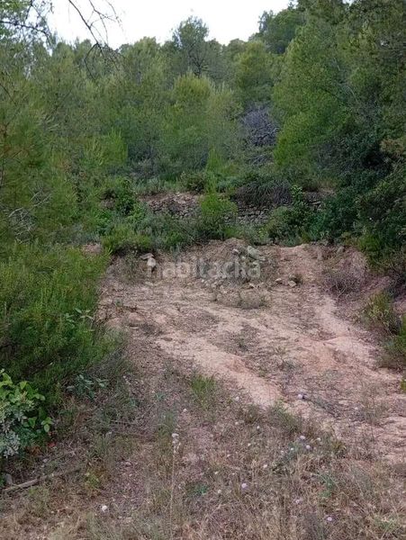 Foto 591d5dfc-dff3-4e9a-b1cf-9ae0d747a66f. Mas dans Corbera d´Ebre