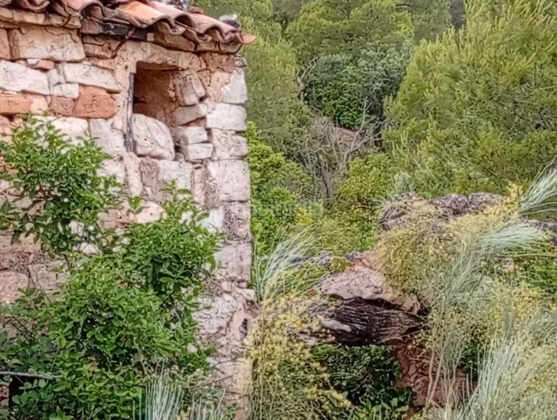 Foto a1ae1ba8-c5e3-4c07-a379-2cc03a1f6533. Mas dans Corbera d´Ebre