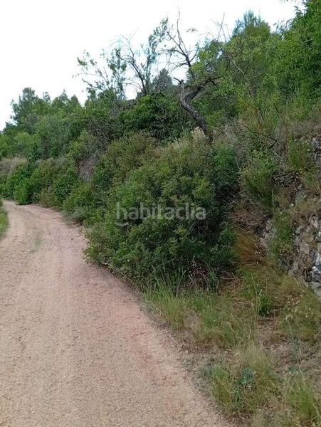 Foto a602af10-99ca-46d1-8068-dce62e3fd6e1. Mas dans Corbera d´Ebre