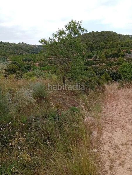 Foto b11adc5f-dae8-4816-b8e9-9bb14876307f. Mas dans Corbera d´Ebre