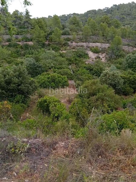 Foto b3a0264a-e2bf-451d-b4ed-6b65ea6860a2. Mas dans Corbera d´Ebre