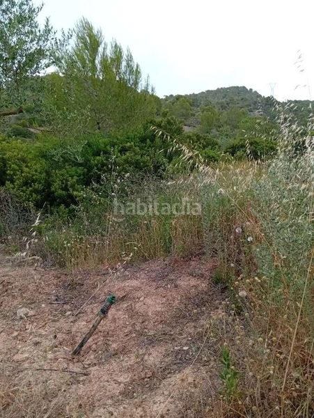 Foto c8081822-f004-4427-be05-f83e59ab0021. Mas dans Corbera d´Ebre