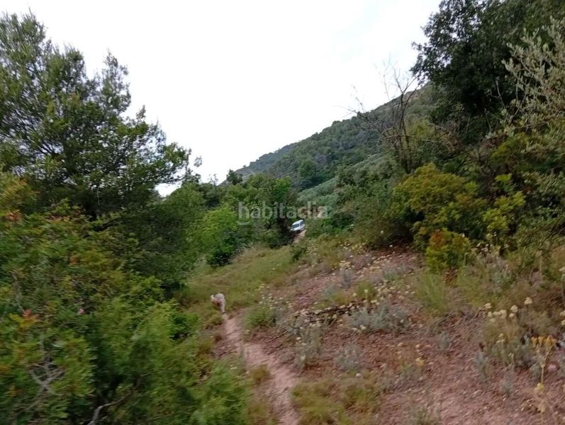 Foto cb732229-63ce-44c7-9b84-3dab3131b4d4. Mas dans Corbera d´Ebre