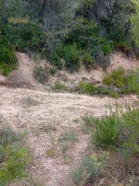 Foto d597bd75-0bde-4afc-bc29-529f3257d4cb. Mas dans Corbera d´Ebre