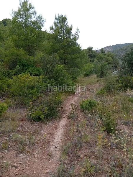 Foto dcda70f6-3646-4b57-995a-f5c331efb0aa. Mas dans Corbera d´Ebre