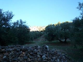 Finca rústica  La muela, pago la era, pol 36. Terreno en venta
