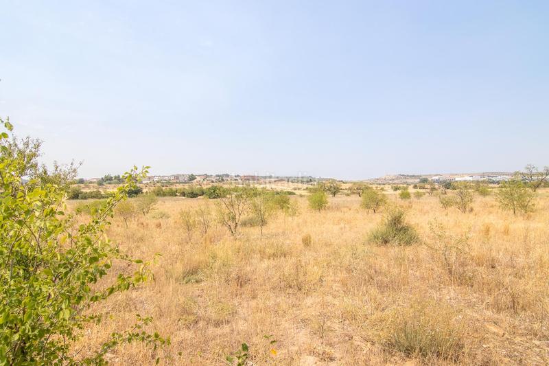 Foto 0e3a0913-e7b1-4593-81d6-990b9c9d84e3. Terreny residencial a Tàrrega