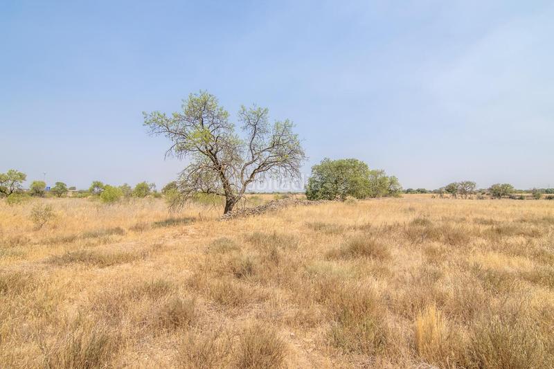 Foto 139c08d1-a57c-4e7c-8bd0-ff9cb53be735. Terreny residencial a Tàrrega