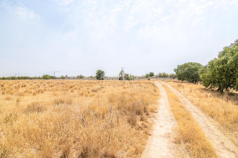 Foto 16dcb75f-a296-4f4a-8a10-c93fd50abc87. Terreny residencial a Tàrrega