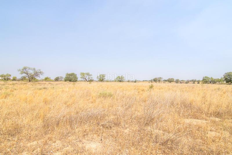 Foto 1e4b686b-2728-4728-af7f-17c4ad9ff0de. Terreny residencial a Tàrrega