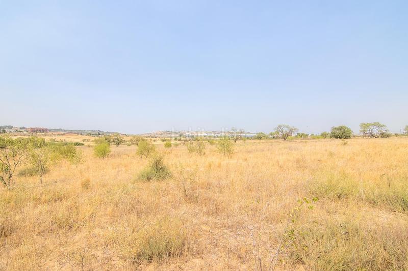 Foto a28e0eed-12ca-44fa-93db-4f847655636c. Terreny residencial a Tàrrega