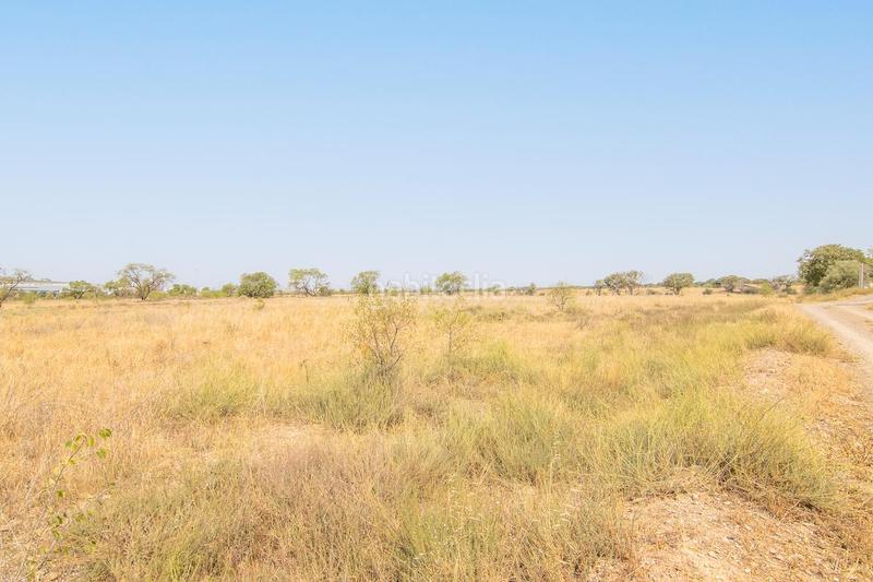 Foto a68e8994-5447-4607-ba87-5ce1d8089db8. Terreny residencial a Tàrrega