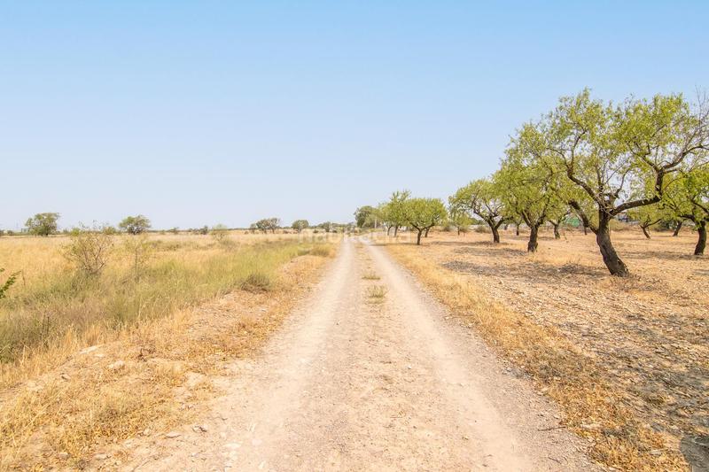 Foto c682fc70-bf2b-4f8d-92bc-1c7a274cc7ad. Terreny residencial a Tàrrega