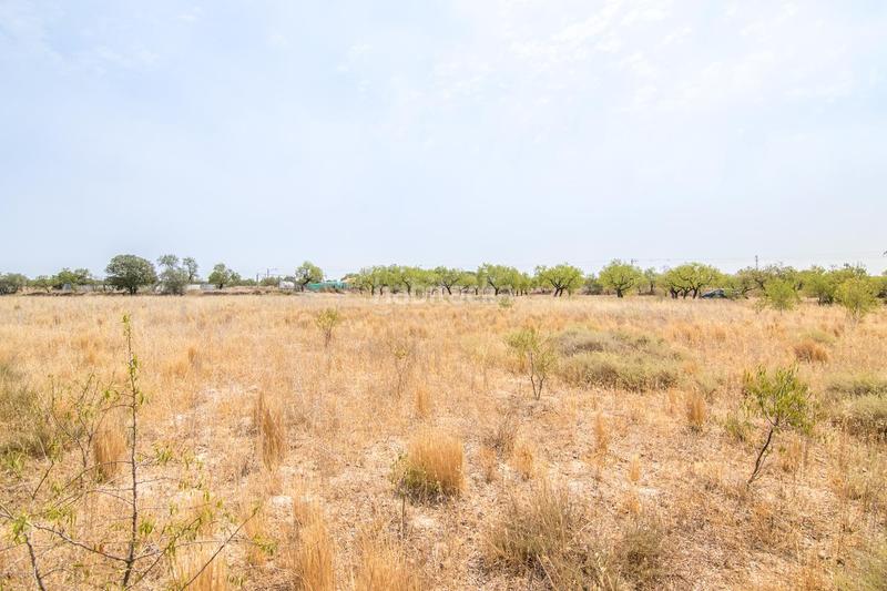 Foto d2e479a0-8c34-49c0-953c-e3e49ef650ec. Terreny residencial a Tàrrega