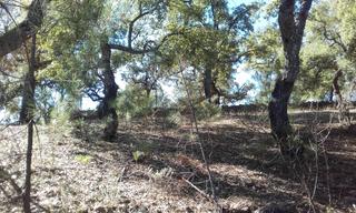 Finca rústica a Carabajal poligon 5. Terreno en venta