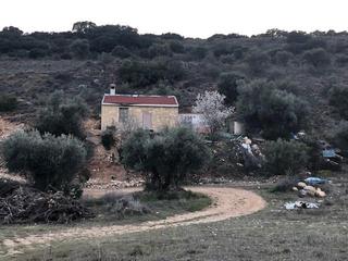Finca rústica  Viejo de alcalà, pol. 27. Terreno en venta