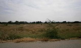 Terreno residencial en El carrizal 16. Terreno en venta