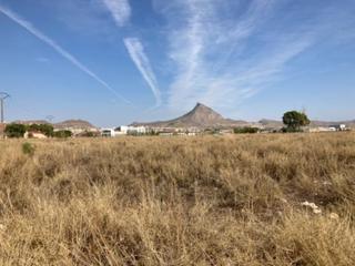 Terreny residencial a Comisario (el) s/n. Terreno en venta