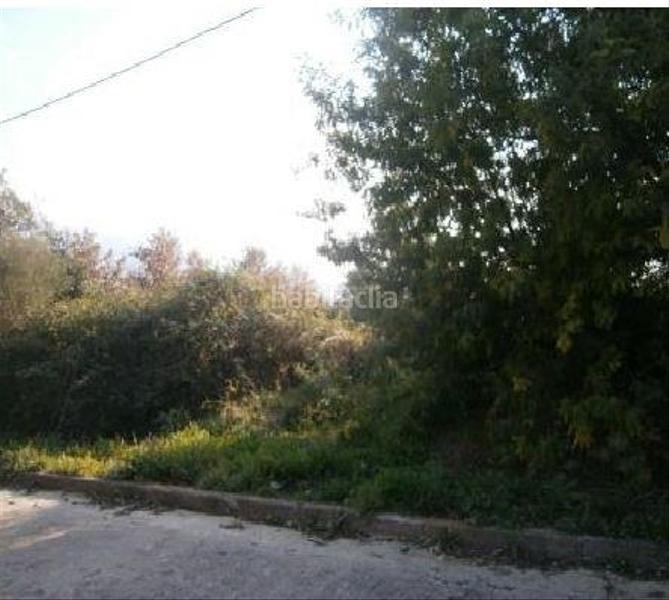 Foto 85e44231-ebc8-4076-81a4-58447af951a6. Wohngrundstück in can plana polig 8 in Riells i Viabrea