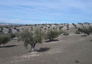 Finca rústica a Cerro clamor 16. Terreno en venta