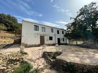 Finca rústica  Arroyo de alcala. polígono 4. Terreno en venta