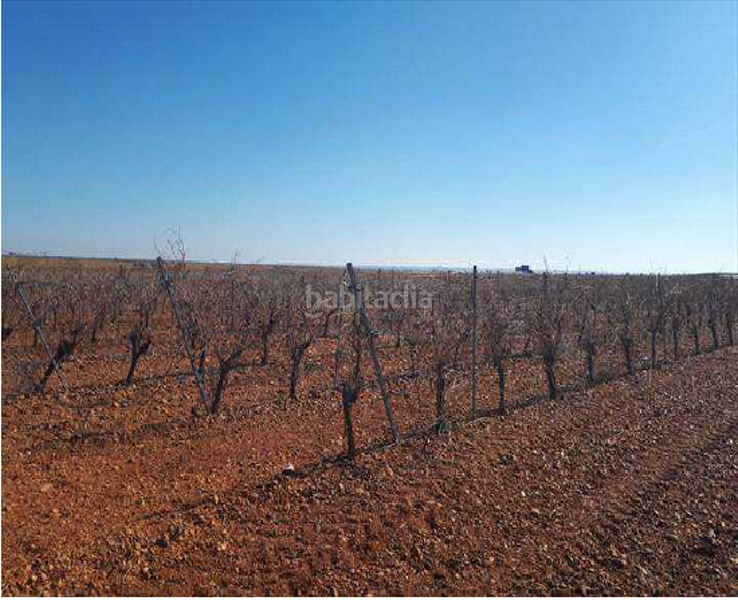 Foto 19690d67-5f22-4b85-9b89-c7abe3d034a3. Finca rústica terreno en venta en Valdevimbre