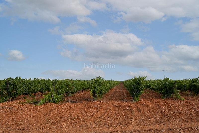 Foto 1b757b2b-2933-4dc8-8cb1-80e2878998b3. Finca rústica terreno en venta en Valdevimbre