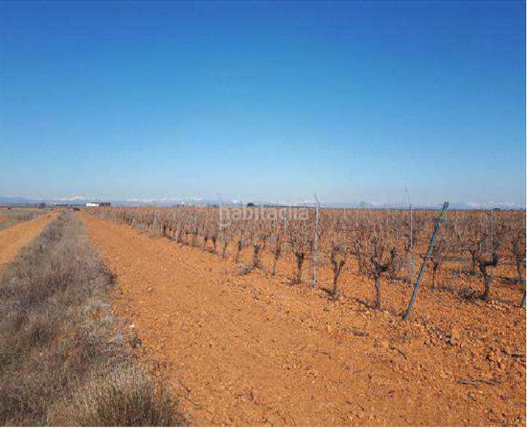 Foto 1e02a6fc-c6d5-4b46-a684-1fd9bb41f2e5. Finca rústica terreno en venta en Valdevimbre