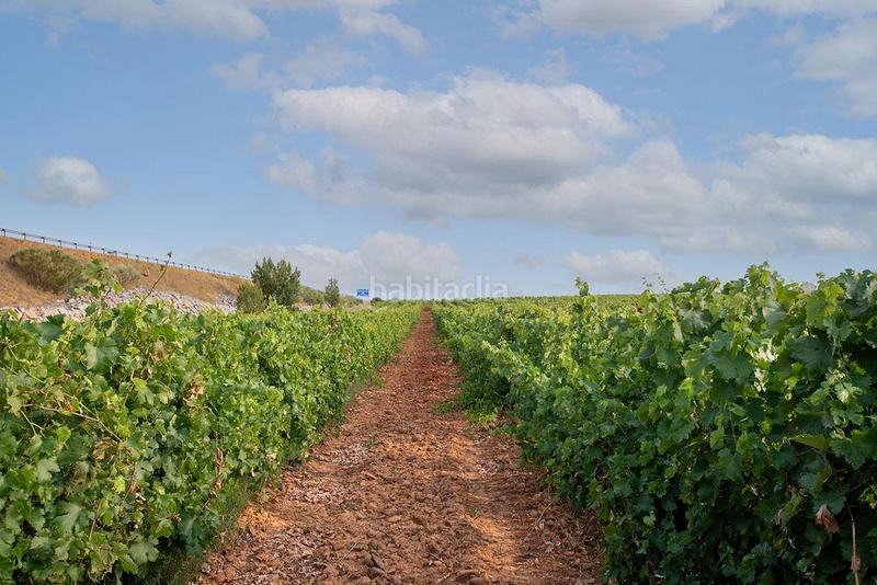 Foto 2025de77-7503-44f2-a074-688f385de0cc. Finca rústica terreno en venta en Valdevimbre
