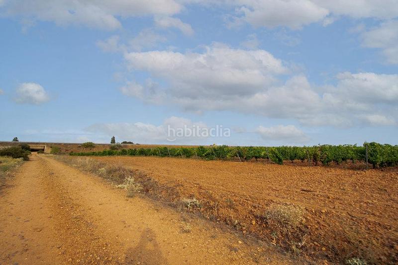 Foto 2acc5430-05fe-4674-8bbb-faaf3008a904. Finca rústica terreno en venta en Valdevimbre