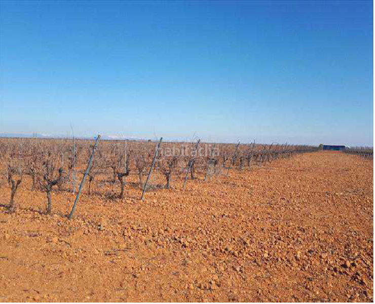 Foto 522dea5a-f9aa-4b5b-8db5-1293cfbebbdf. Finca rústica terreno en venta en Valdevimbre